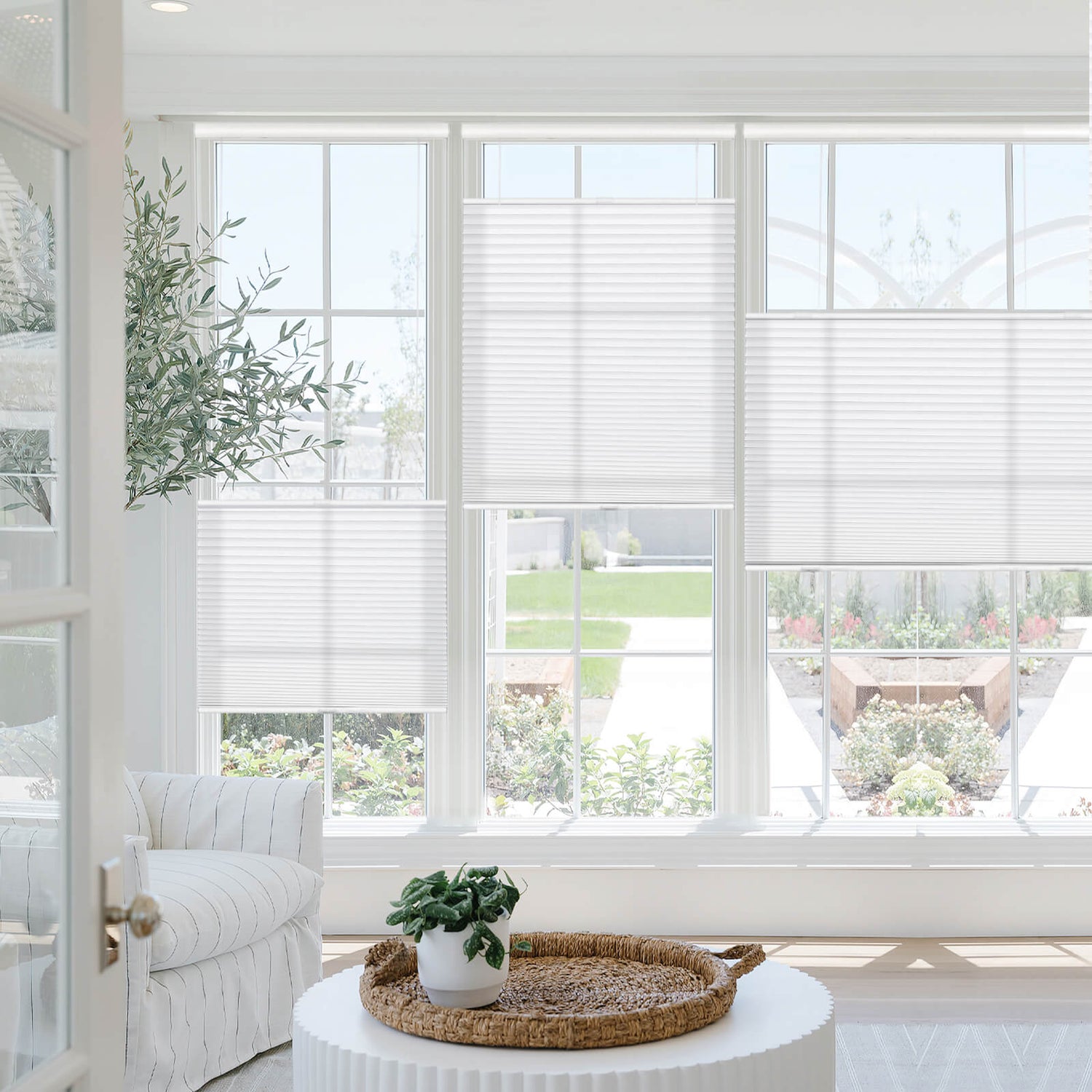 White-001-9098