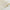 Beige-03-7515