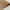 Brown-04-7515