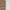 Brown013-7186