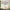 DimGray-G31-005-4613