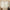 Linen-BL2001-4613