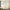 LightGray-G31-004-4613