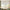 LightGray-TR-BL207-4613